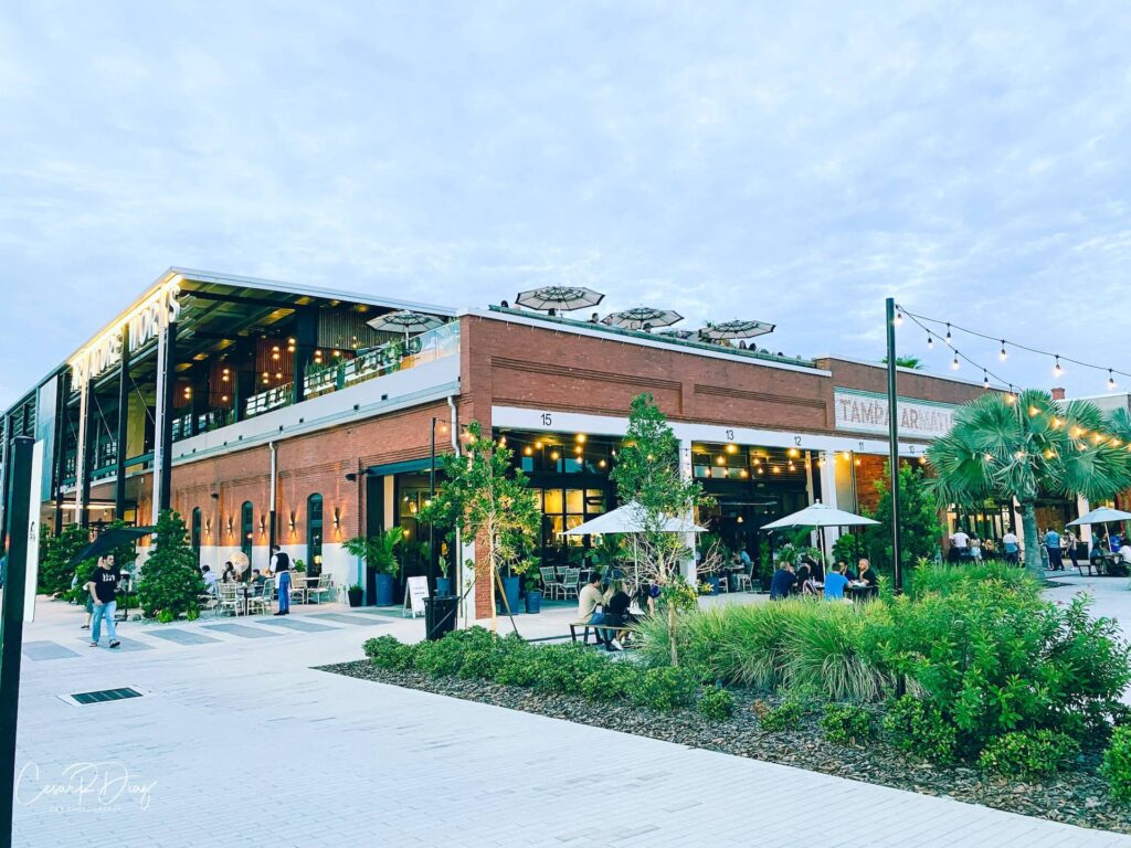 Best Suburbs Of Tampa Florida